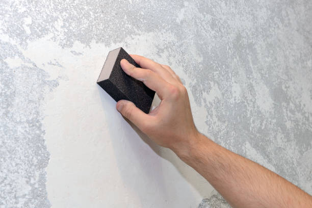 Best Water Damage & Mold Remediation  in Elwood, IN
