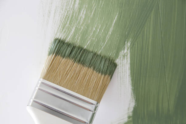 Best Attic Mold Removal  in Elwood, IN
