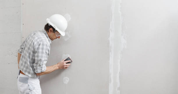 Best Commercial Mold Inspection  in Elwood, IN