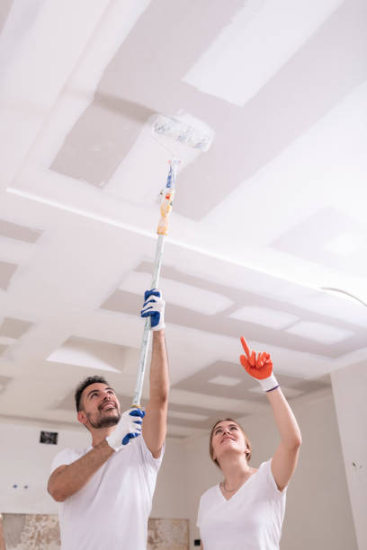 Best Mold Odor Removal Services  in Elwood, IN